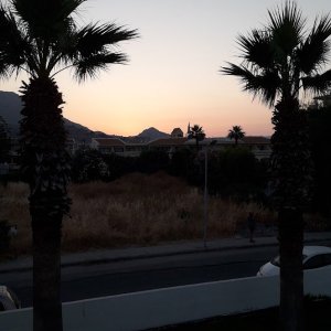Palms of Nerja